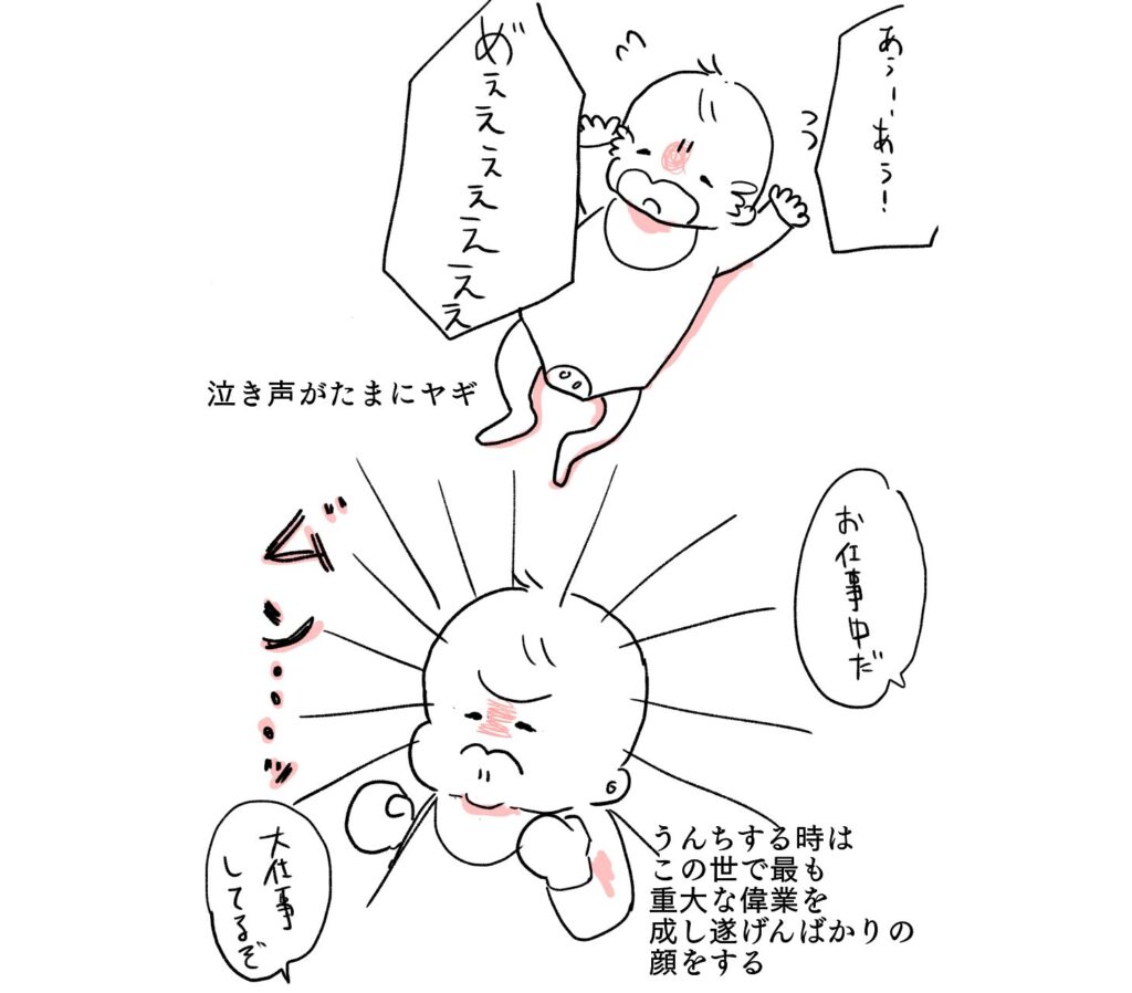 独特な泣き声と見飽きない表情